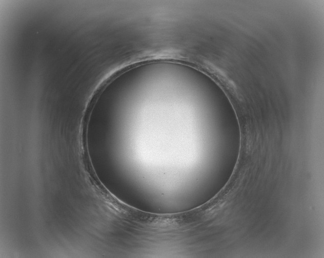 X0000073441174200608041108