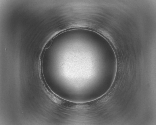 X0000073441179200608041108