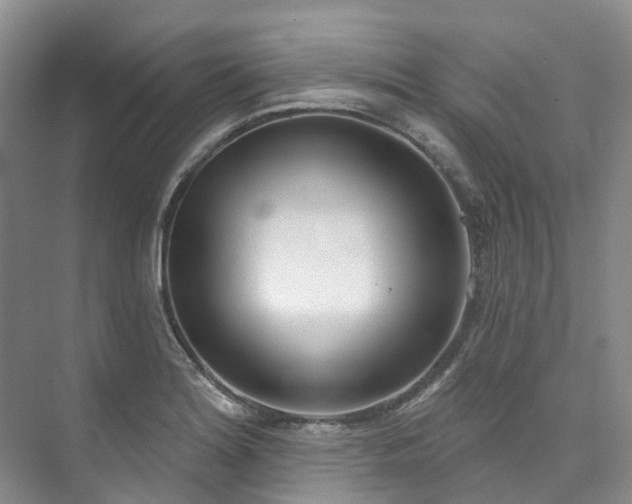 X0000073441180200608041108