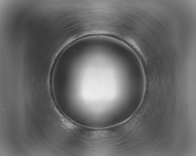 X0000073441181200608041108