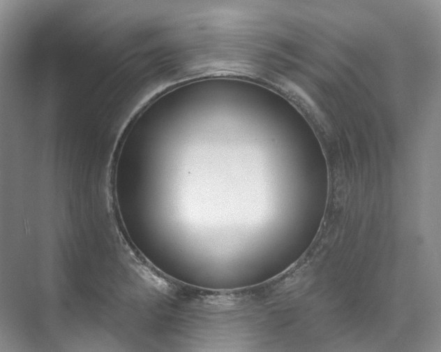 X0000073441182200608041108