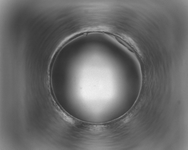 X0000073441184200608041108
