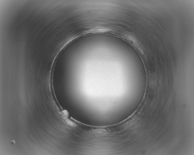 X0000073441186200608041108