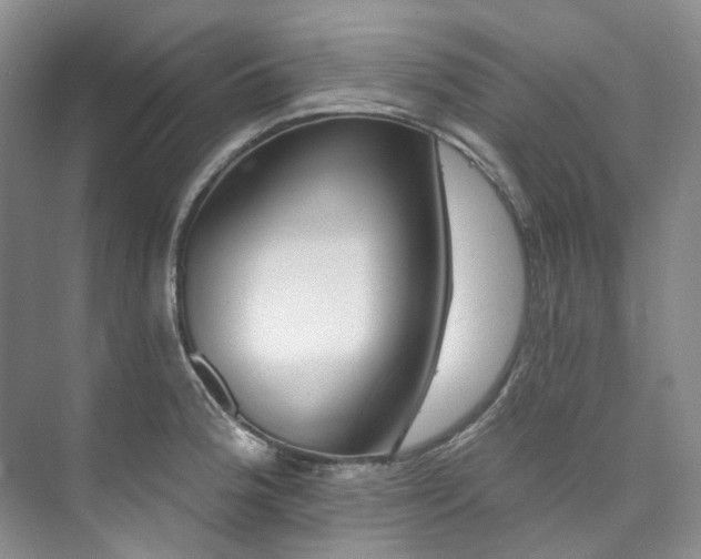X0000073441188200608041108