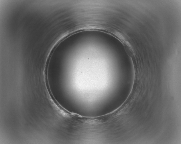 X0000073441189200608041108