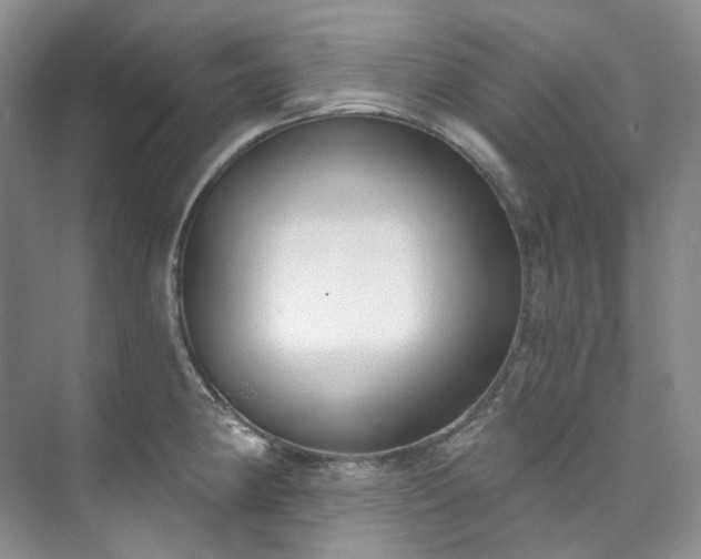 X0000073441190200608041108