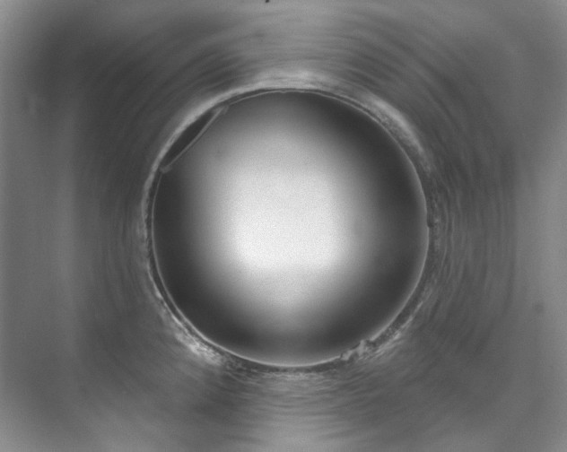 X0000073441192200608041108