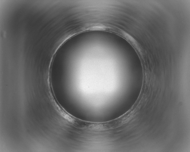 X0000073441194200608041108