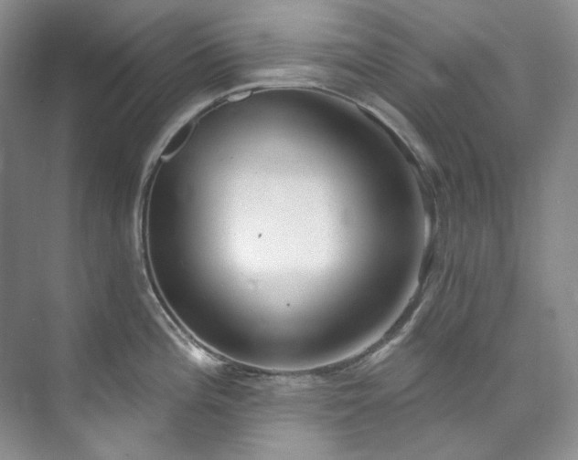 X0000073441196200608041108