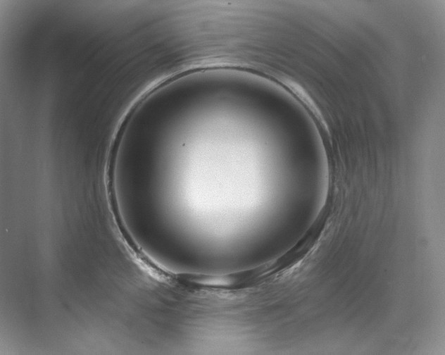 X0000073441197200608041108