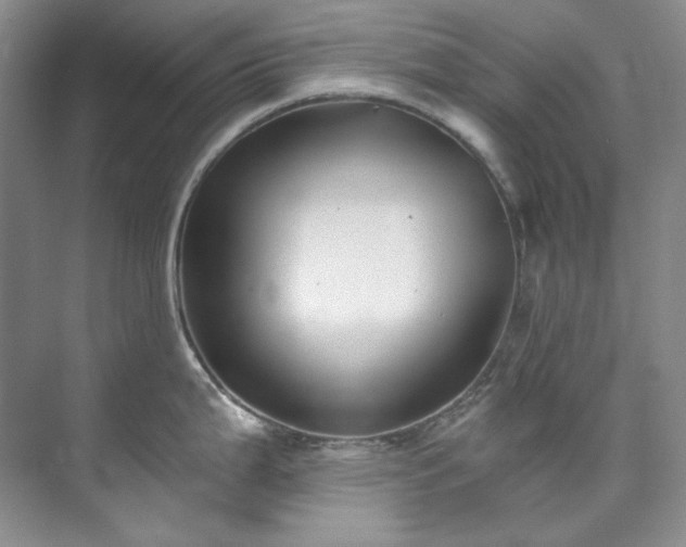 X0000073441199200608041108