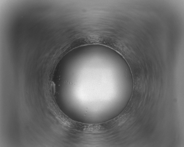 X0000073441201200608041107