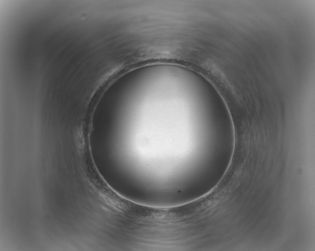 X0000073441218200608041107