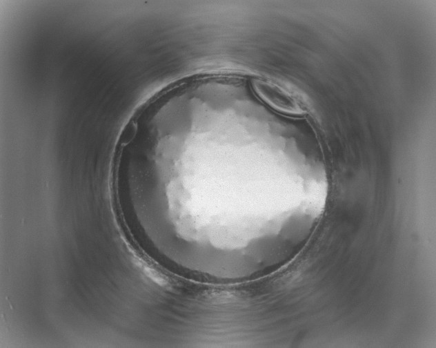 X0000073441231200608041107