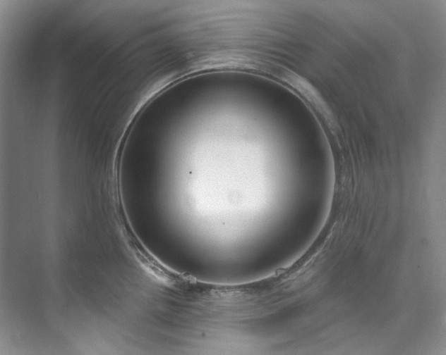 X0000073441242200608041108