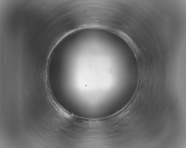 X0000073441244200608041108