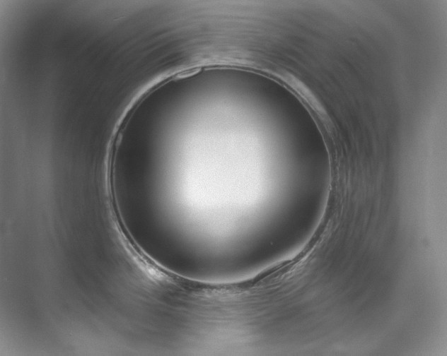X0000073441246200608041108