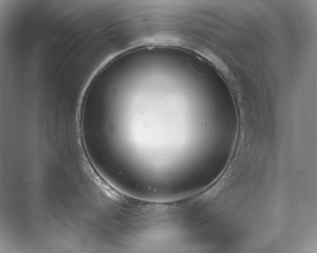 X0000073441248200608041108