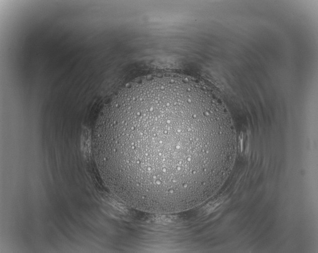 X0000073441251200608041107