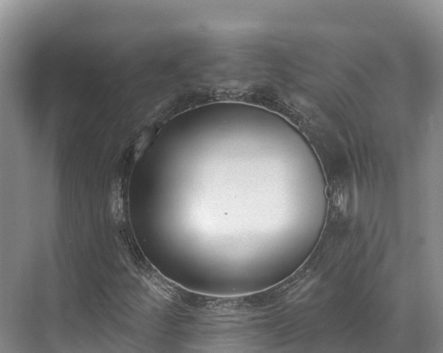 X0000073441252200608041107
