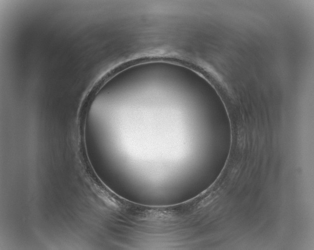 X0000073441270200608041107