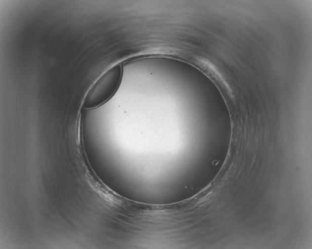 X0000073441276200608041106