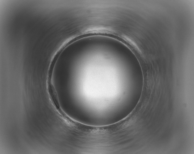 X0000073441277200608041106