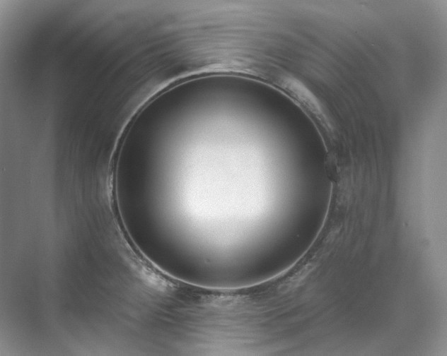 X0000073441284200608041106
