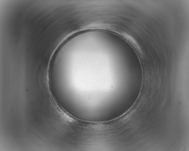 X0000073441288200608041106