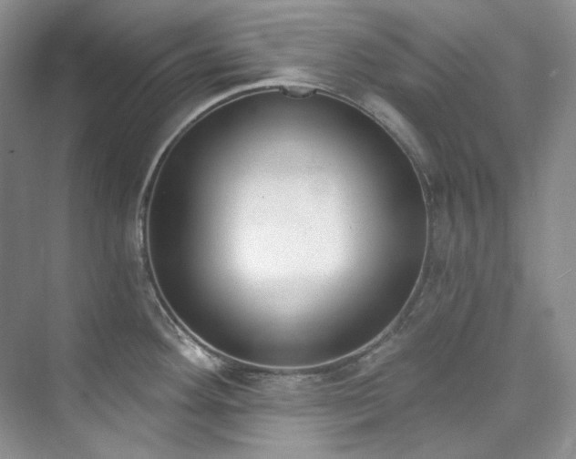 X0000073441292200608041106