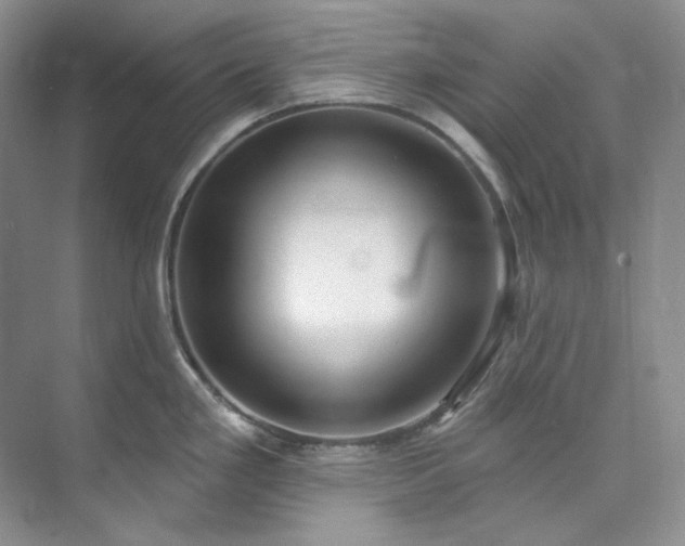 X0000073441293200608041106