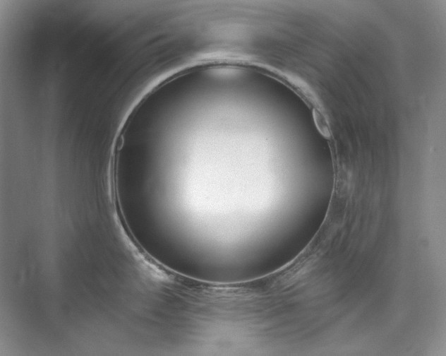X0000073441295200608041106