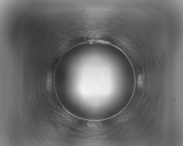 X0000073441299200608041105