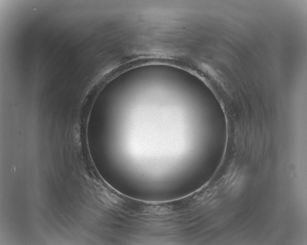 X0000073441307200608041106