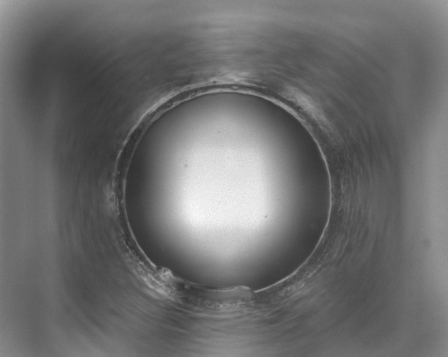 X0000073441308200608041106