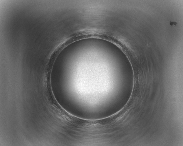 X0000073441309200608041106