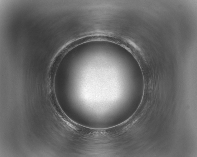 X0000073441310200608041106