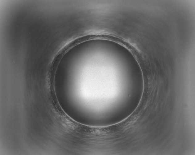 X0000073441311200608041106