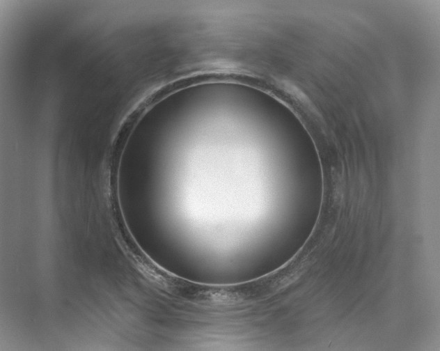 X0000073441318200608041106