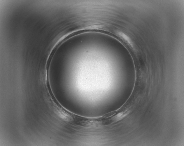 X0000073441324200608041106