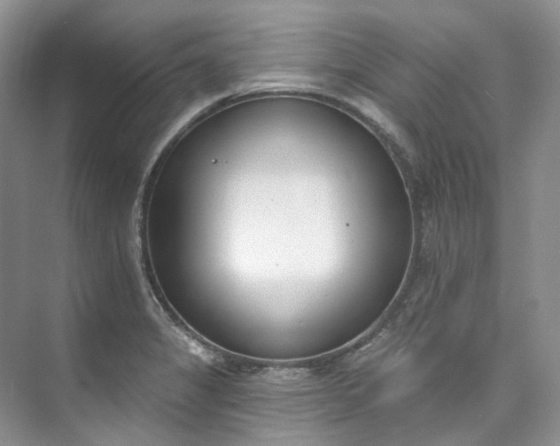 X0000073441325200608041106