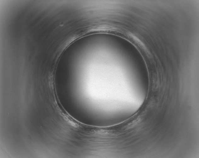 X0000073441329200608041106