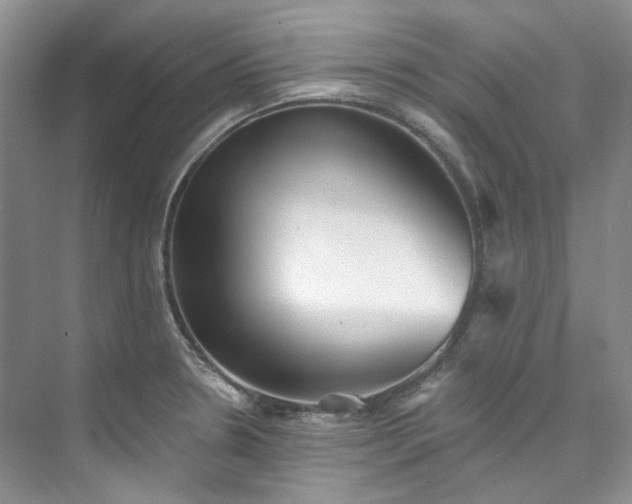 X0000073441330200608041106