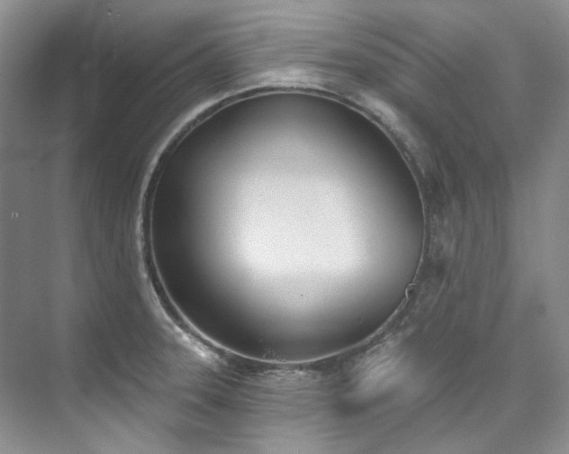 X0000073441331200608041106