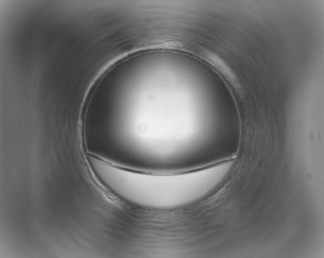 X0000073441332200608041106