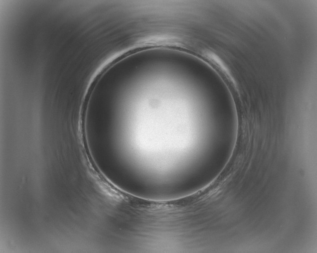 X0000073441336200608041106