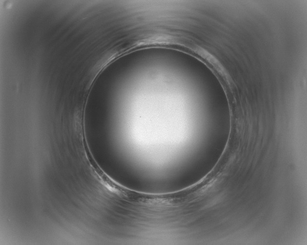 X0000073441337200608041106