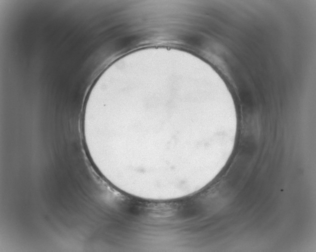X0000073441338200608041106