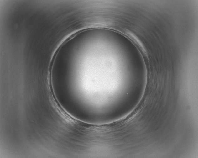 X0000073441340200608041106
