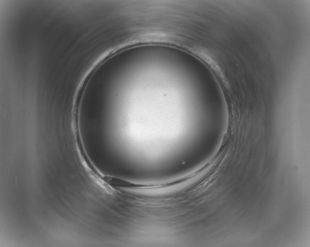 X0000073441342200608041106